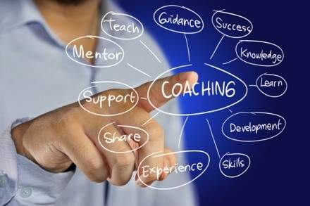 Executive Coaching: Why?