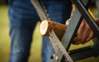 Sharpen Your Saw in 2019