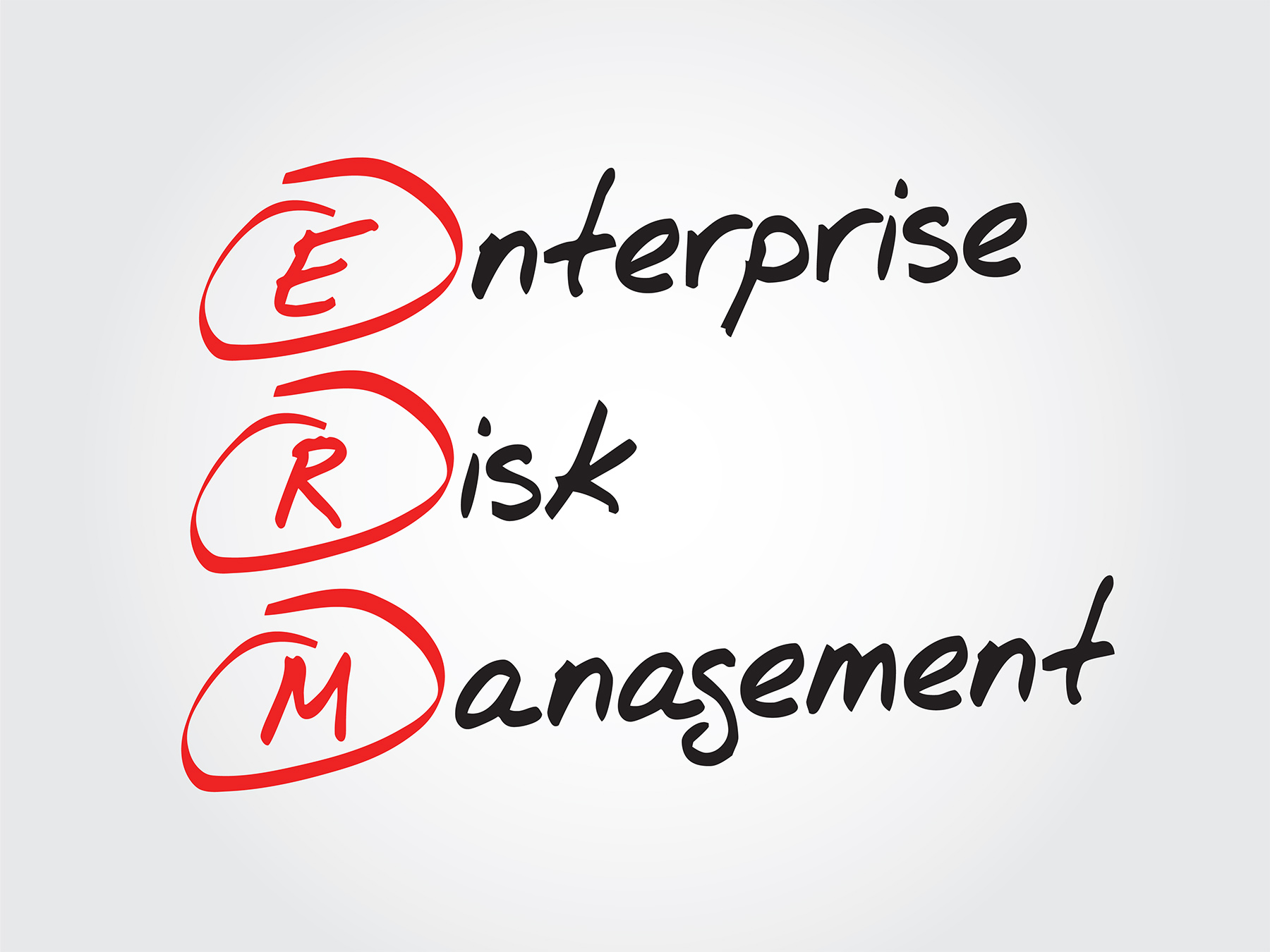 Why a Not-for-Profit Organization Should Have an Enterprise Risk Management Plan